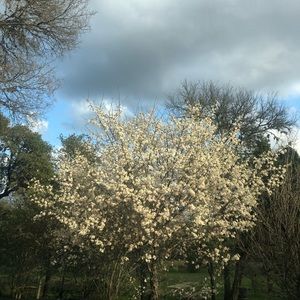 Meet your Posher, Max